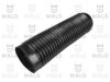 FIAT 4055666 Intake Hose, air filter